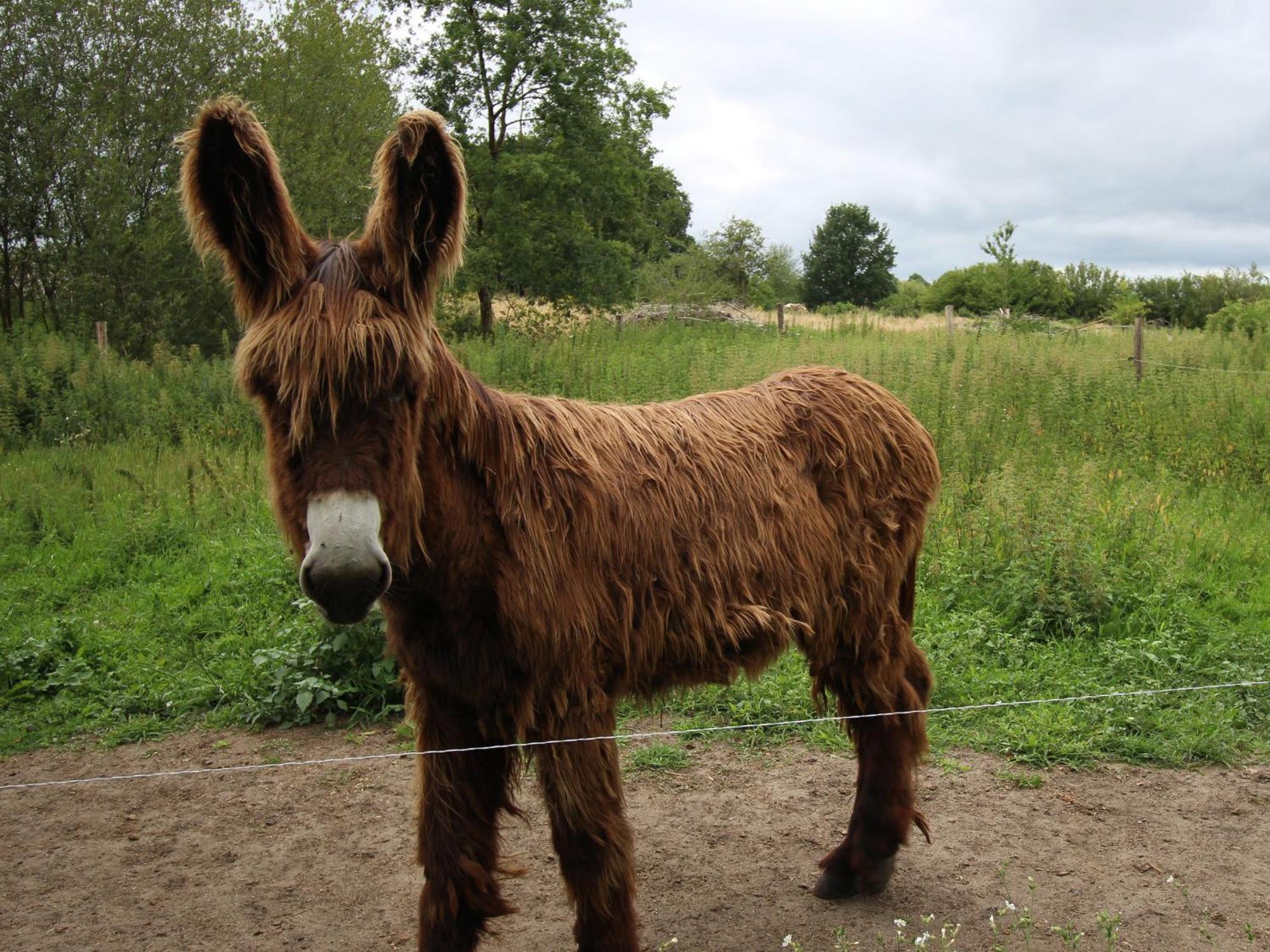 Gite De Charme Proche Du Mans Pour 6 Pers., Commerces A Pied, Tout Equipe - Fr-1-410-258 Cerans-Foulletourte ภายนอก รูปภาพ
