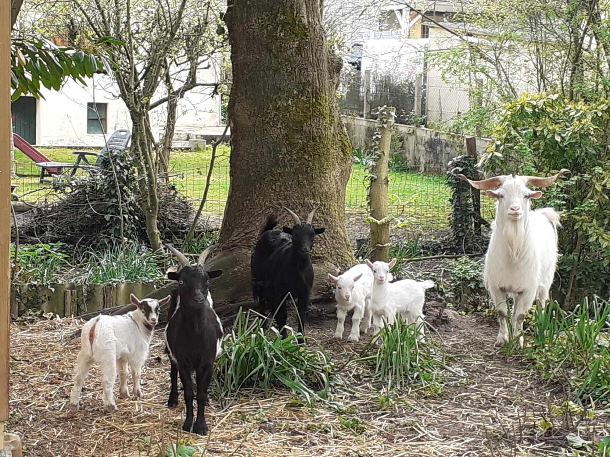 Gite De Charme Proche Du Mans Pour 6 Pers., Commerces A Pied, Tout Equipe - Fr-1-410-258 Cerans-Foulletourte ภายนอก รูปภาพ